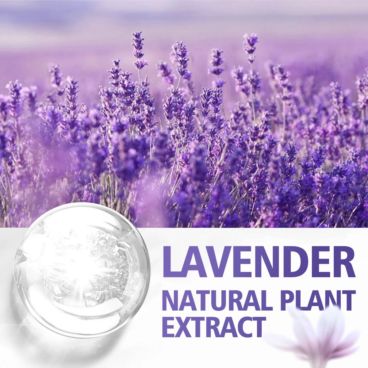 100ml/60ml/30ml/Lavender essential oil humidifier aroma diffuser multifunctional essential oil multi-purpose moisturizing