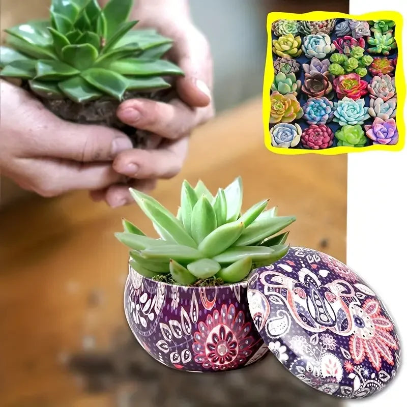 56 Colorful Floral Patterned Tin Boxes, Available in Sets of 36pcs, Each Containing 2.2-Ounce Candle Jars