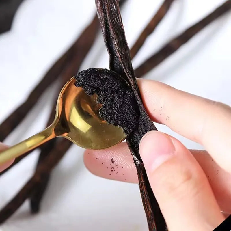 10pcs Natural Madagascar Vanilla Pods Incense Natural Bean Aroma 14-17cm