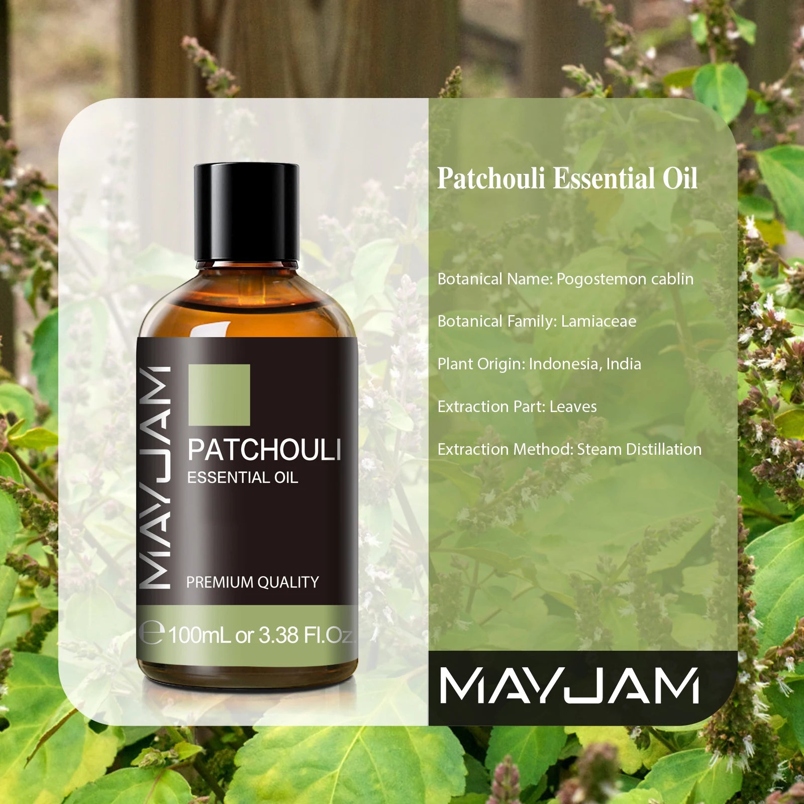 MAYJAM 1PCS Patchouli Plant Natural Essential Oils for Diffusers Aromatherapy Massage Hair Care Skin Care