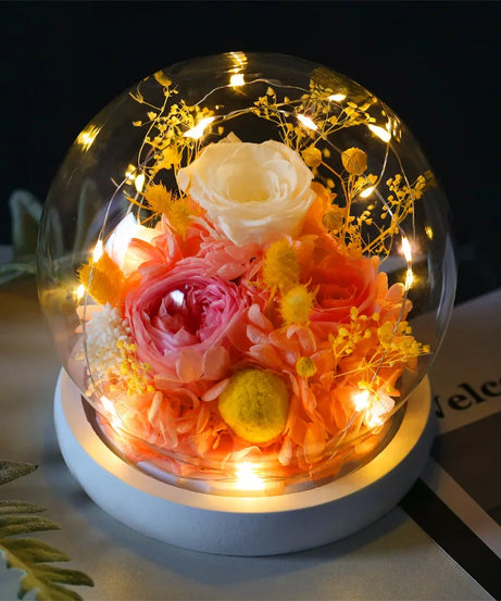 Wedding Decoration Decor Eternal Rose LED Light Preserved Flower in Glass Cover Mothers Day Gifts Birthday Party Valentines Day