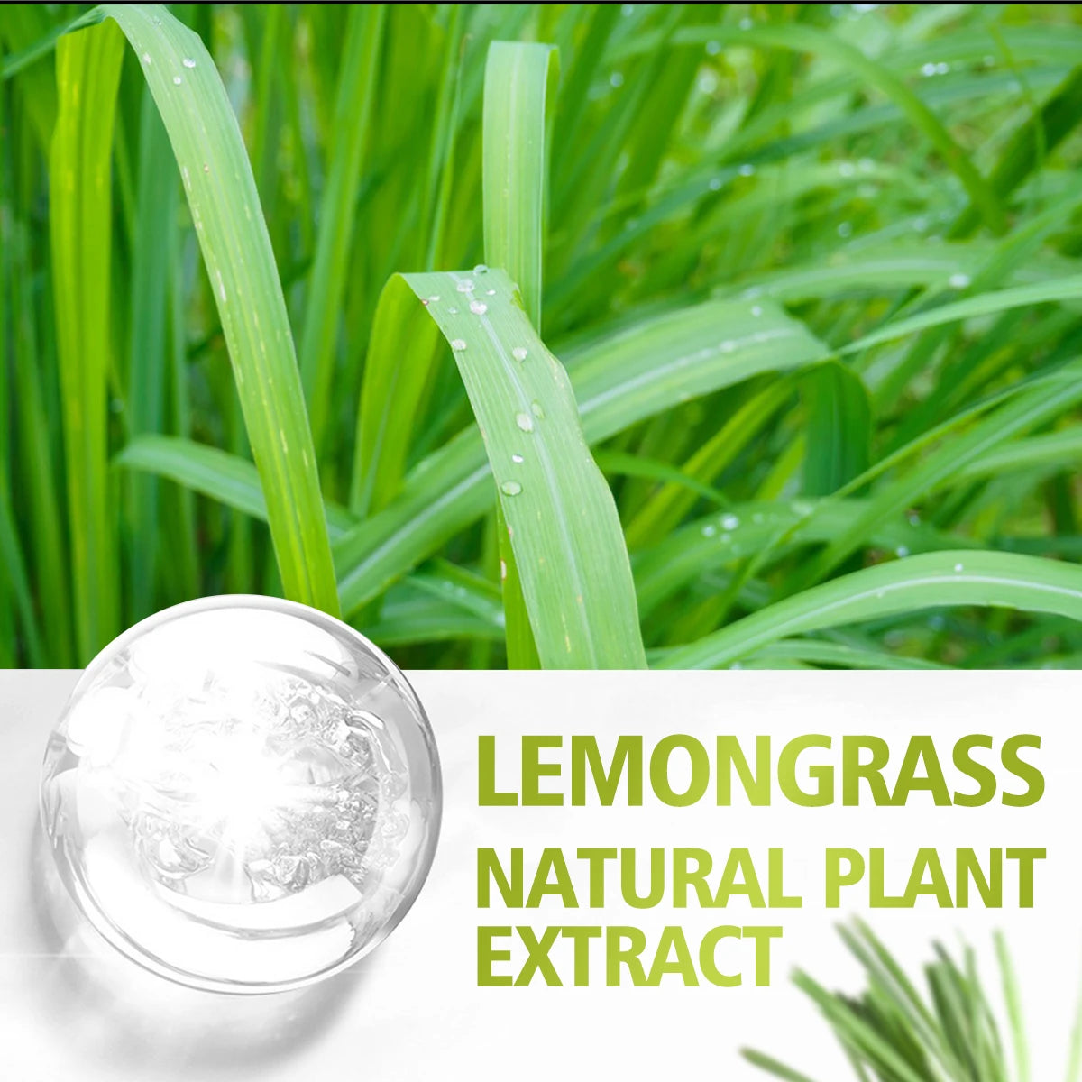 Lemongrass essential oil is suitable for various uses, fresh scent, humidifiers, candles, burners, aromatherapy