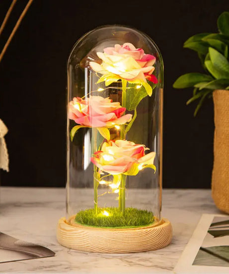 Mothers Day Gifts Party Artificial Flowers LED Rose Creative Valentine's Day Gift in Glass Glass Cover Simulation Rose Flower